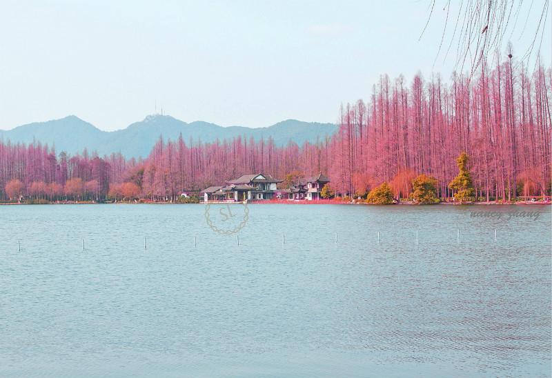 每年暑假期间最热门的旅游地自然少不了杭州1