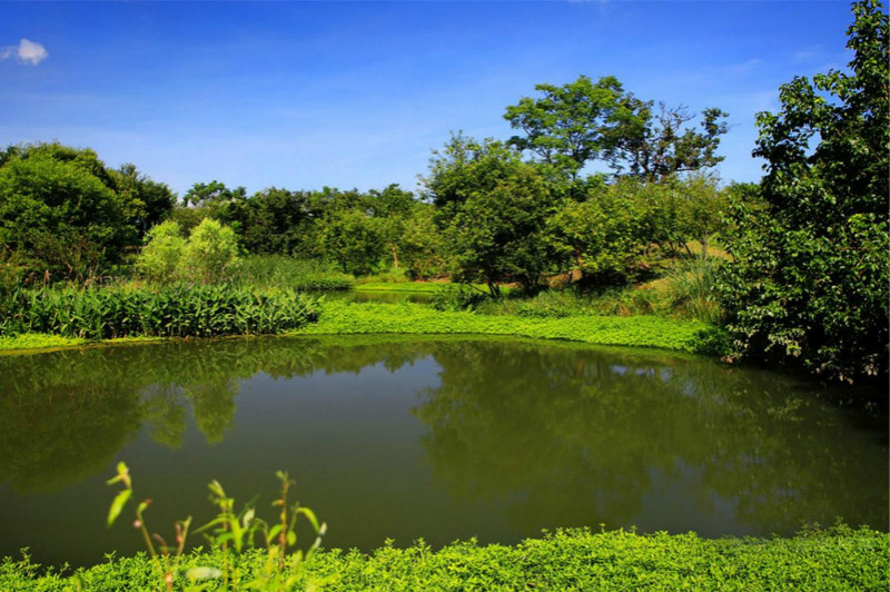 杭州旅游景点推荐,一起欣赏温婉的江南风景4