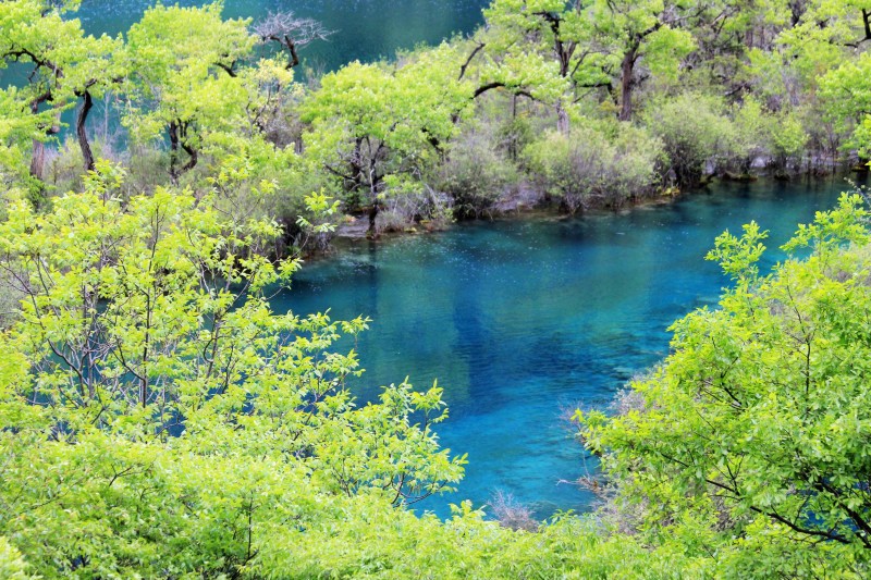 成都到九寨沟的路线及相关攻略2