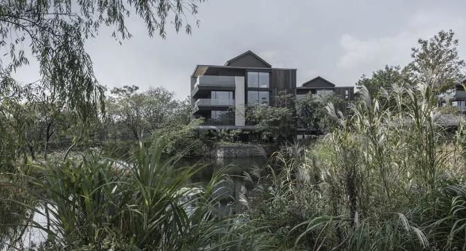 仅凭设计就刷爆了整个酒店圈,木守西溪到底有多美?6