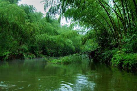 国庆前往蜀南竹海是一个大好时机2