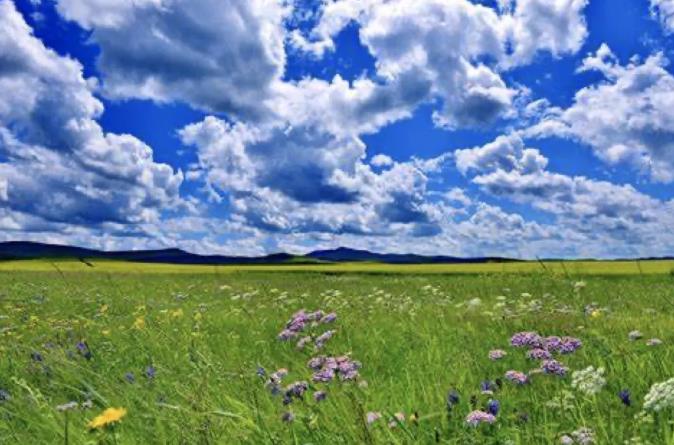 在北纬50°，遇见心中的呼伦贝尔大草原3