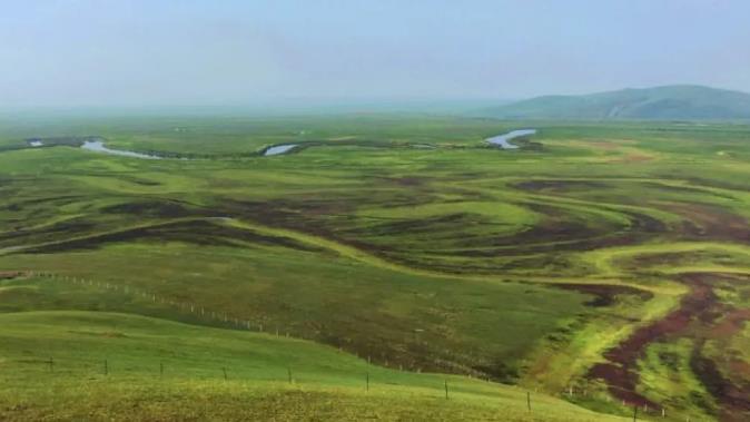 在北纬50°，遇见心中的呼伦贝尔大草原11