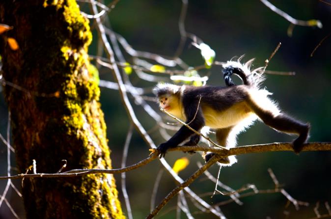 于松赞酒店打卡朝暮晨光，体验最美滇藏13
