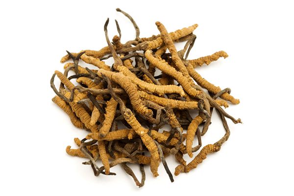 国庆去四姑娘山旅游可以带哪些当地特产回去?5