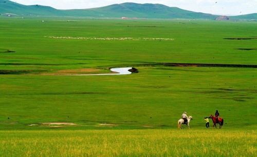 国庆若尔盖旅游交通攻略，如何选择交通方式？5