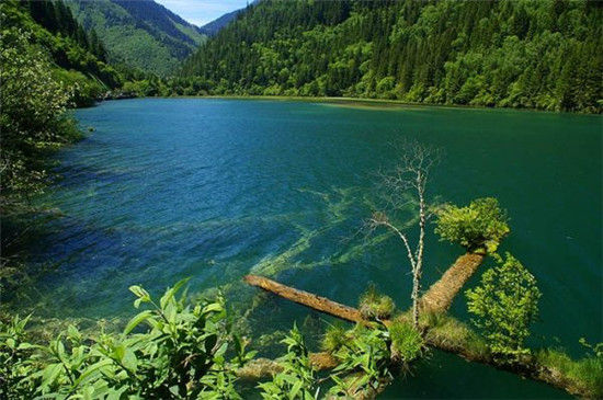 国庆九寨沟旅游线路都有哪几种可以选择?1