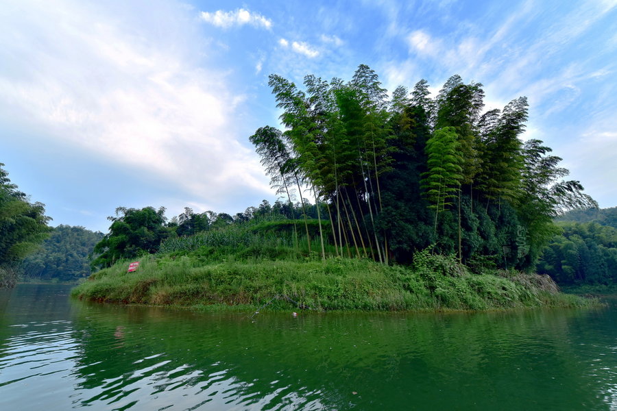 国庆在蜀南竹海度假,该如何选择交通方式?3