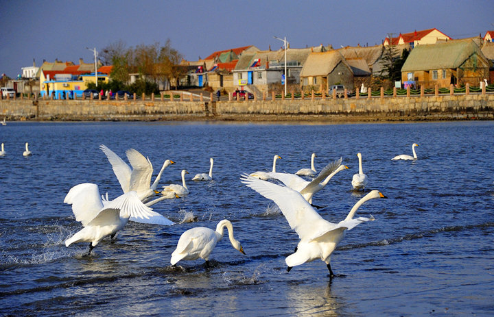 国庆威海三日游景点及游玩攻略介绍3