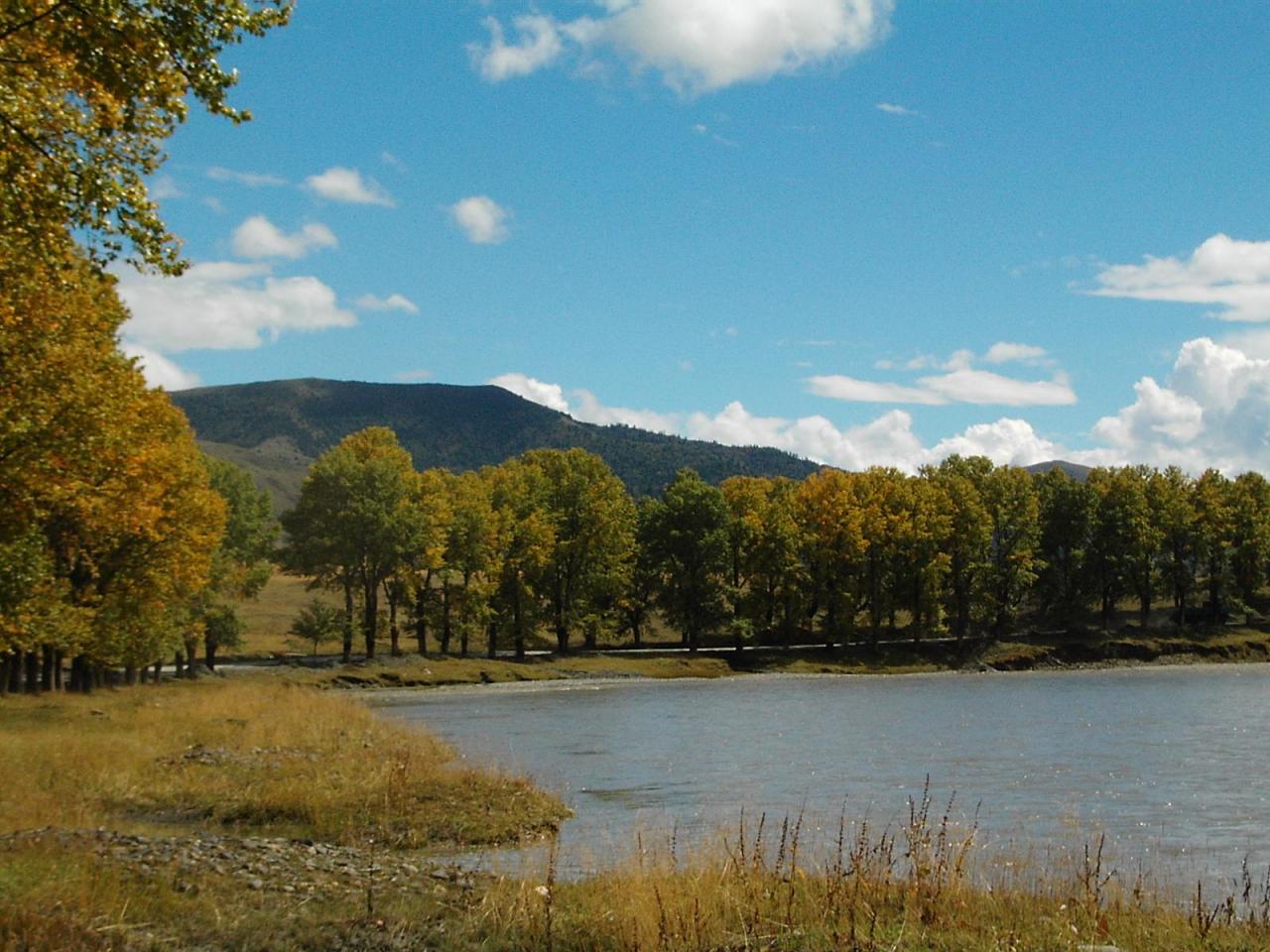 今年的国庆不能错过新都桥的无限美景4