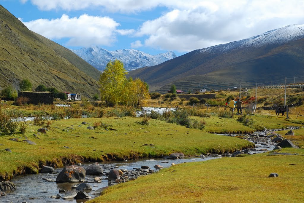 今年的国庆不能错过新都桥的无限美景6