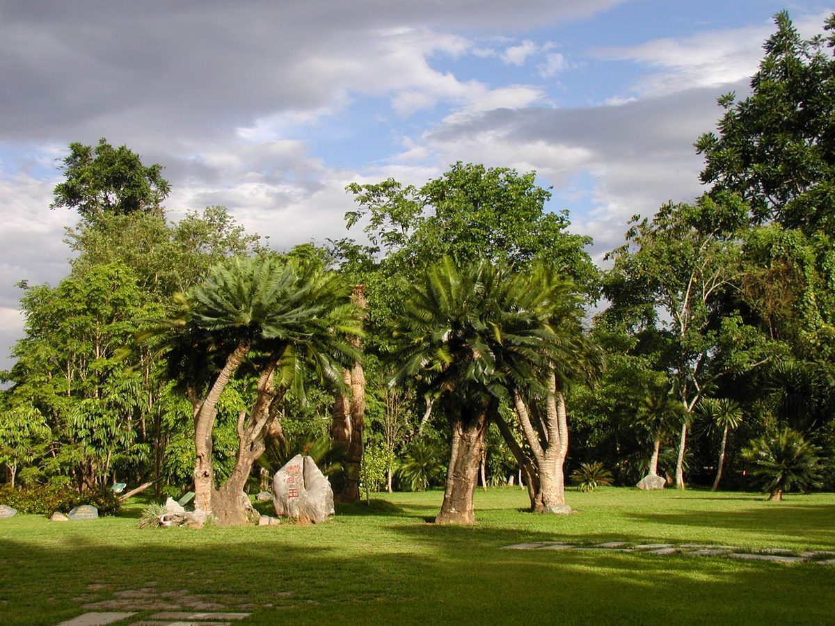 国庆西双版纳四日游攻略,体验人文景观2