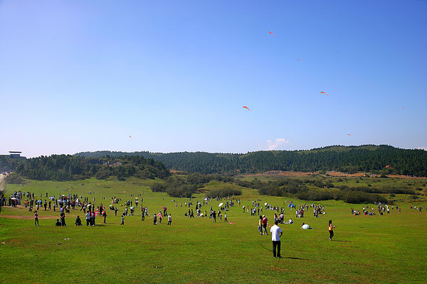 国庆仙女山国家森林公园旅游攻略4