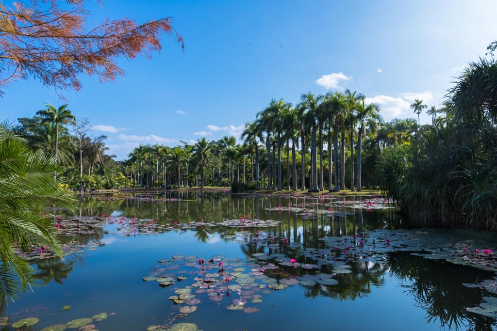 国庆节值得去的国内旅游景点有哪些呢？4