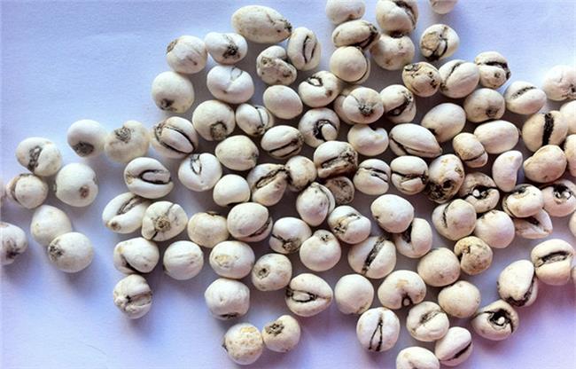 国庆九寨沟旅游特产,带回去与家人朋友一起分享1