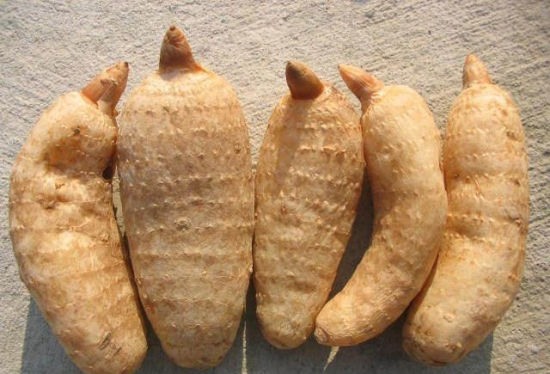 国庆九寨沟旅游特产,带回去与家人朋友一起分享4