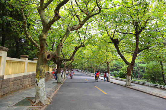 国庆青岛旅游不可错过的景点都有哪些?6