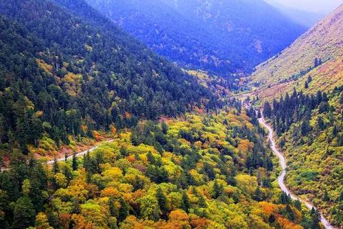 10月国庆游玩夹金山是一个不错的选择2