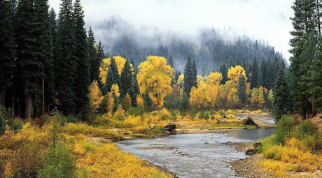 10月国庆游玩夹金山是一个不错的选择3