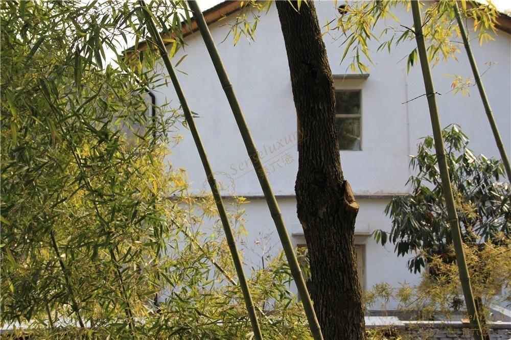 国庆去若尔盖花湖旅游是一种什么样的景象呢?3