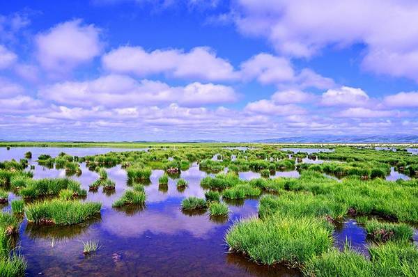 国庆去若尔盖花湖旅游是一种什么样的景象呢?6
