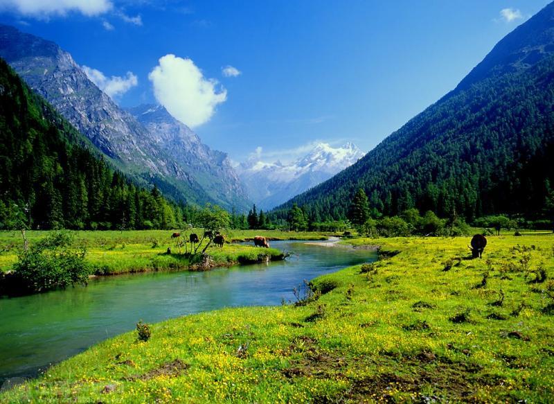 国庆难得的休假时光，选择去四姑娘山2