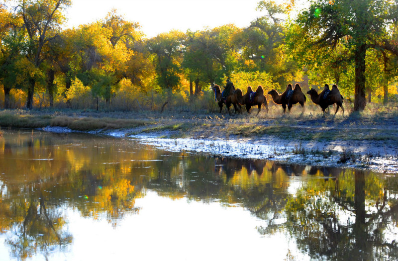 今年国庆假期怎么过才有意义呢?2