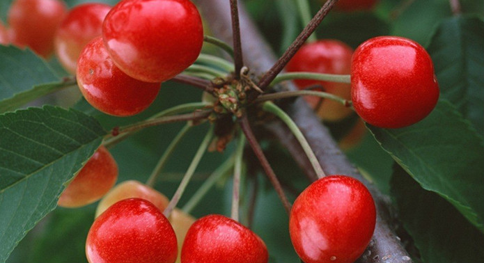 国庆去牟托羌寨旅游是个挺不错的选择6