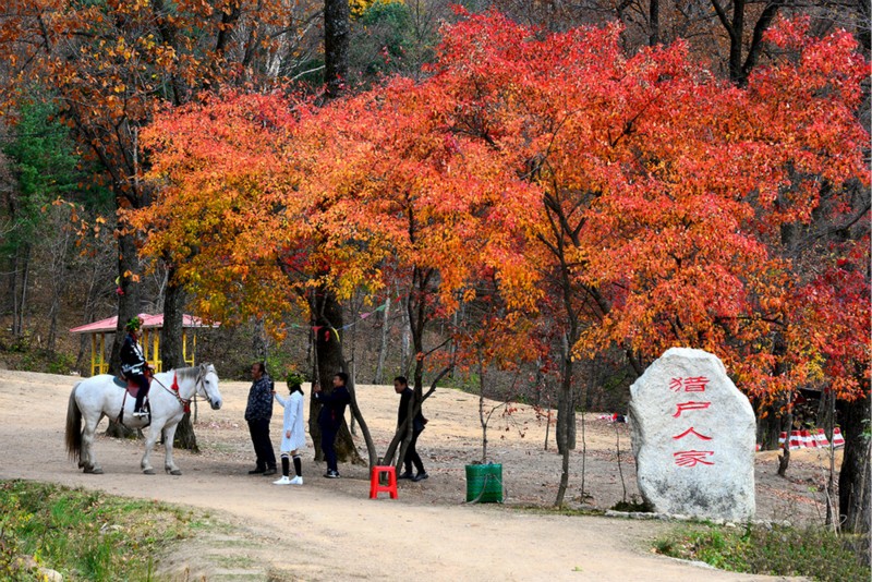 吉林蛟河红叶谷一日游攻略，四季皆宜游玩的景区1