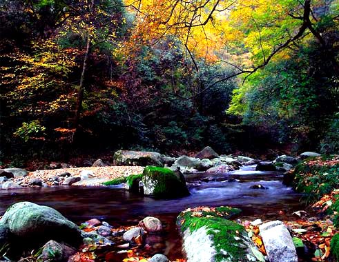 去四川光雾山赏红叶都有哪些看点？4