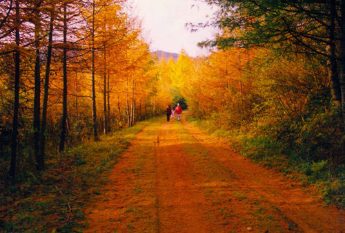 去四川光雾山赏红叶都有哪些看点？6