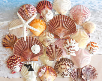 去三亚除了欣赏碧海蓝天,一定不能错过三亚特产5