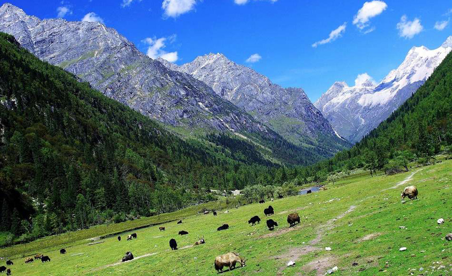 今年中秋国庆去四姑娘山来一场邂逅3