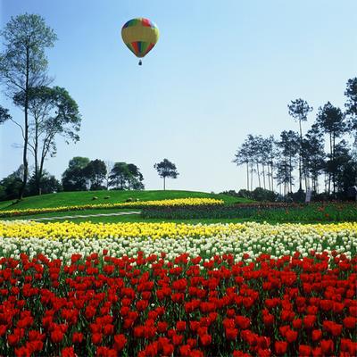 国庆石象湖景区都有哪些好玩的地方?6
