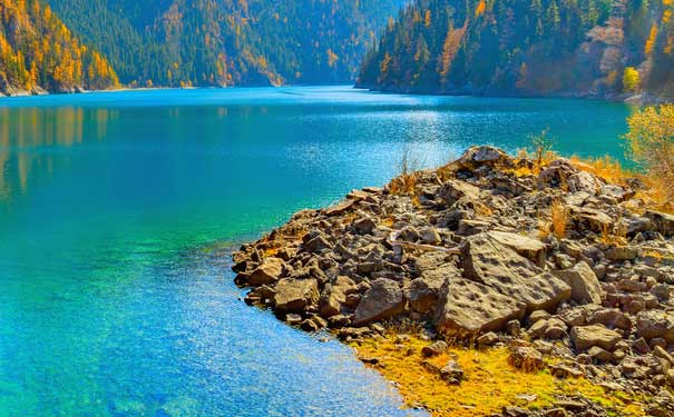 国庆九寨沟旅游攻略，欣赏金灿灿的风景5