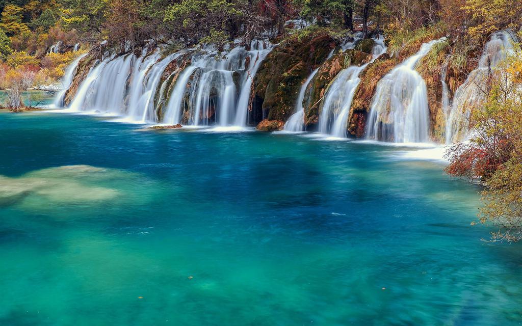 国庆九寨沟旅游攻略，欣赏金灿灿的风景6