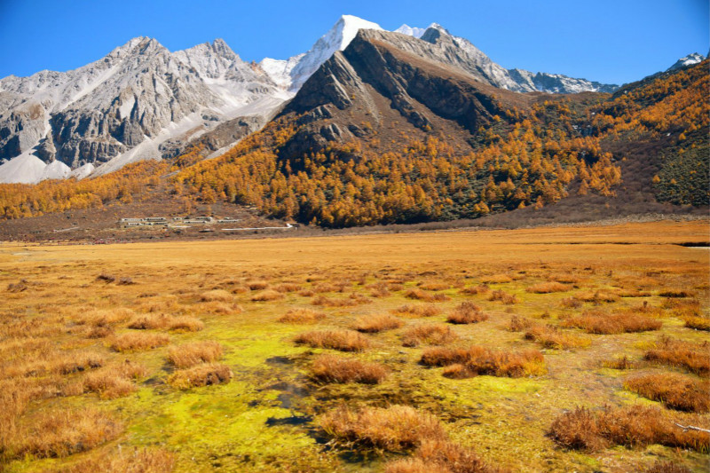 国庆稻城亚丁有哪些景观特色？会限制人数吗？5