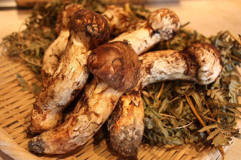 国庆期间在海螺沟可以买到哪些当地特产？3