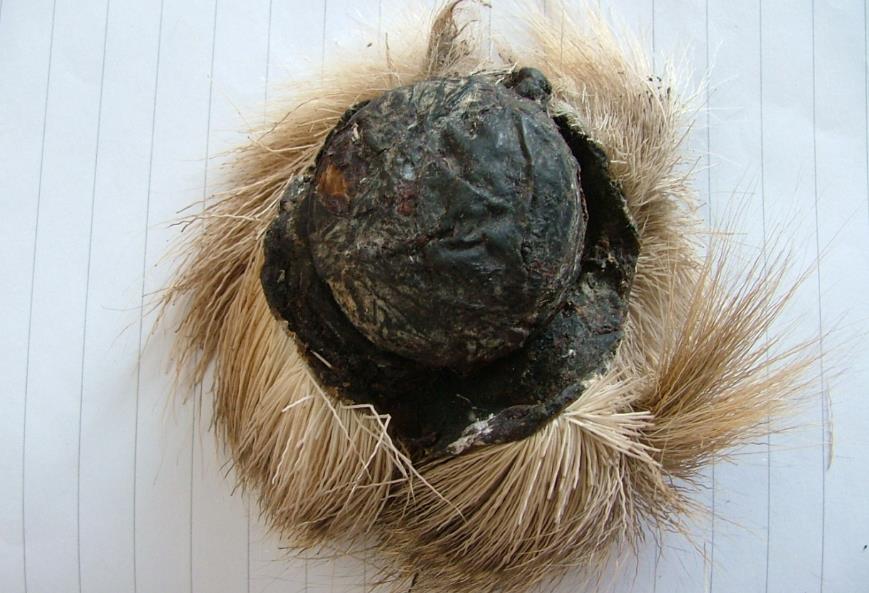 国庆期间在海螺沟可以买到哪些当地特产？4