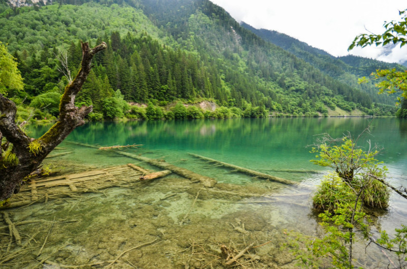 国庆九寨沟旅游攻略，一路欣赏金灿灿的风景4