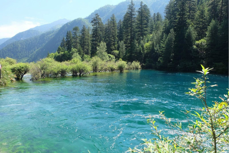 国庆九寨沟旅游攻略，一路欣赏金灿灿的风景5