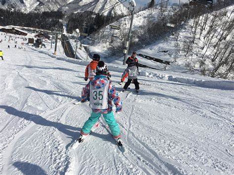 双板滑雪技巧的都有哪些?2