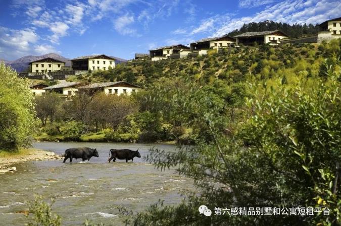 仁安悦榕庄 | 香格里拉独避蹊径的野奢4