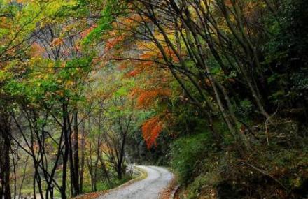 四川赏红叶都有哪些自驾游路线推荐？4