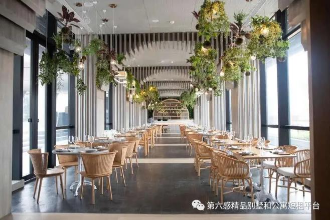 三亚冲浪胜地,打卡海南的冲浪点7