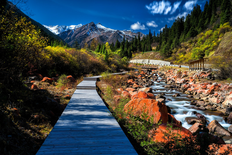 推荐3个国内目前观赏红叶的最佳好地方2
