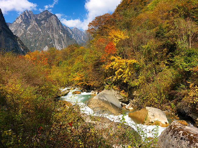 四川都有哪些可以欣赏红叶的旅游景区3