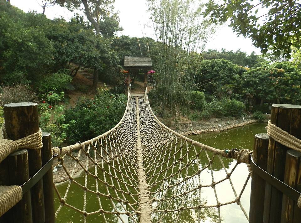 盘点一下广东春节旅游好去处都有哪些？3