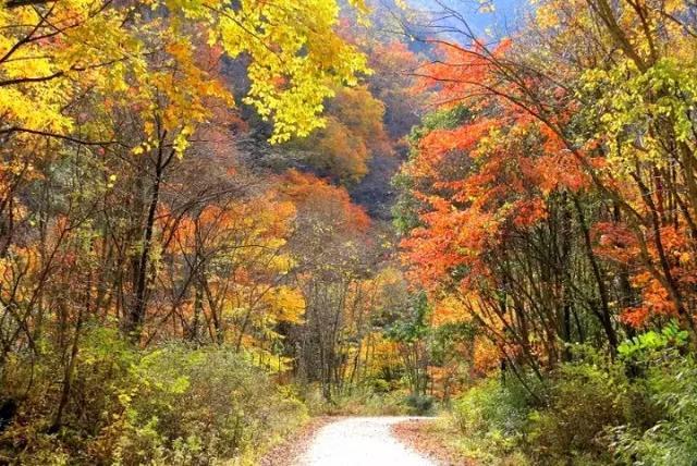 四川看红叶去哪儿好？四川红叶旅游景点大全7