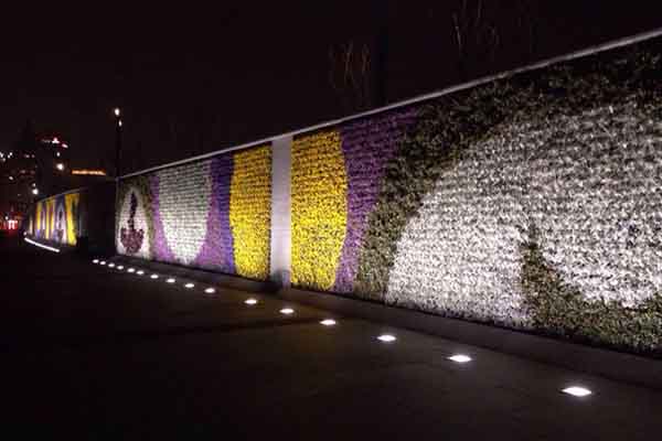 上海外滩旅游都有哪些好玩的景点？5